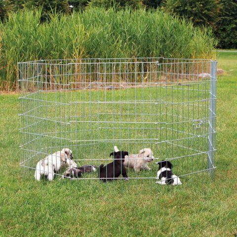 Kennel