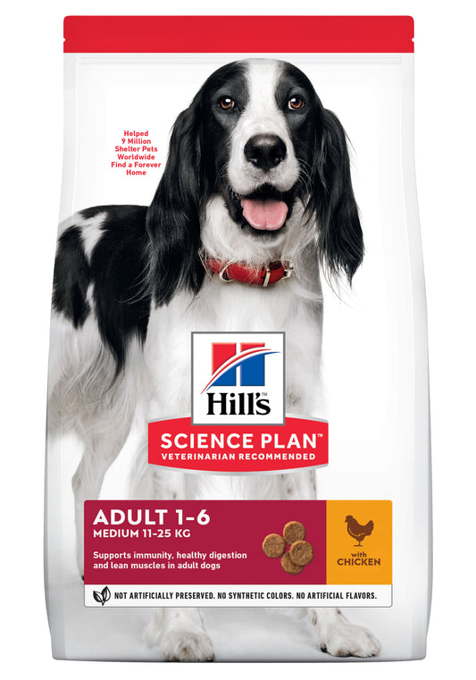 Adult Medium dog