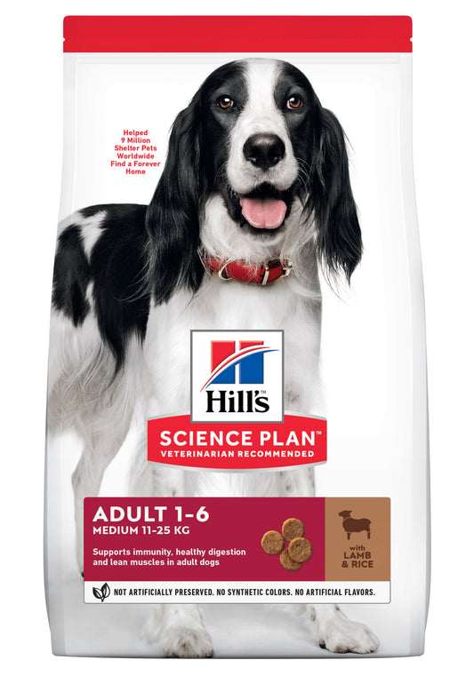 Adult Medium Dog Lamb & Rice