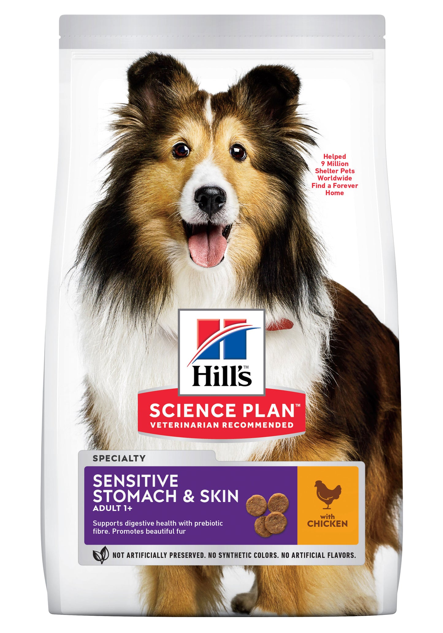 Adult Sensitive Stomach & Skin