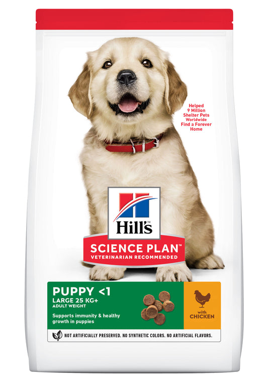 Puppy Large Breed