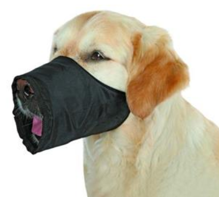 Muzzle