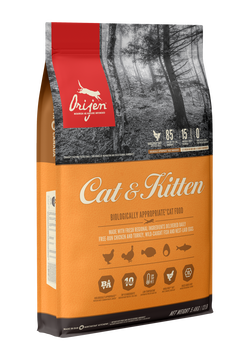 Origen Cat & Kitten
